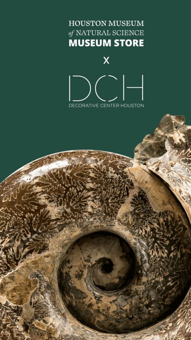 Houston Museum of Natural Science x Decorative Center Houston Collaboration

Join us for an exclusive collaboration with the Houston Museum of Natural Science as we delve into the Designer Program and showcase unique pieces of art. This special event presents a unique opportunity to discover extraordinary designs that beautifully blend nature and creativity.

Explore the store, now open in Suite 1010 at Decorative Center Houston. We look forward to sharing this inspiring experience with you!
.
.
.
#houstonmuseumofnaturalscience #hmns #interiordesign #houstondesigners #decorativecenerhouston